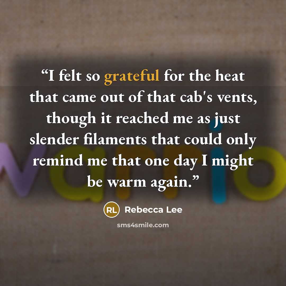 “I felt so grateful for the heat that came out of that cab's vents, though it reached me as just slender filaments that could only remind me that one day I might be warm again.” quote by Rebecca Lee