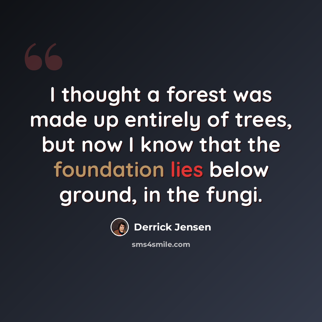 “I thought a forest was made up entirely of trees, but now I know that the foundation lies below ground, in the fungi.” quote by Derrick Jensen