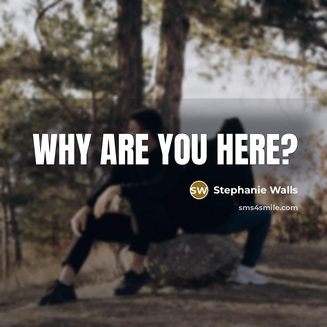 “Why are you here?” quote by Stephanie Walls