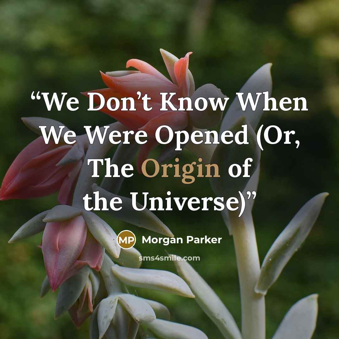 “We Don’t Know When We Were Opened (Or, The Origin of the Universe)” quote by Morgan Parker