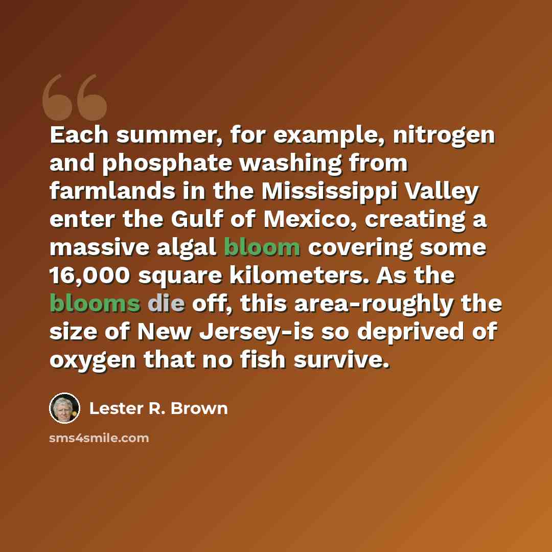 “Each summer, for example, nitrogen and phosphate washing from farmlands in the Mississippi Valley enter the Gulf of Mexico, creating a massive algal bloom covering some 16,000 square kilometers. As the blooms die off, this area-roughly the size of New Jersey-is so deprived of oxygen that no fish…” quote by Lester R. Brown