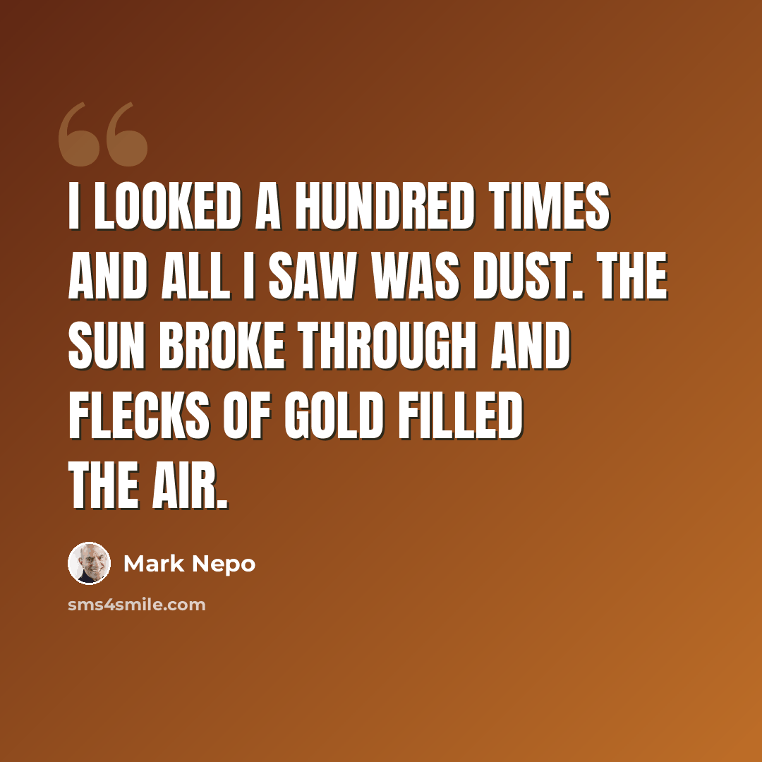“I looked a hundred times and all I saw was dust. The sun broke through and flecks of gold filled the air.” quote by Mark Nepo