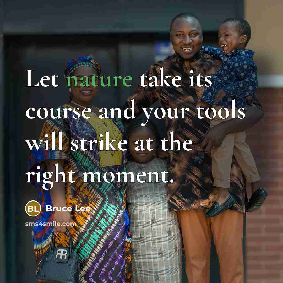 “Let nature take its course and your tools will strike at the right moment.” quote by Bruce Lee