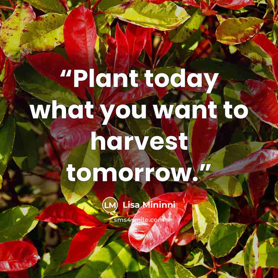 “Plant today what you want to harvest tomorrow.” quote by Lisa Mininni