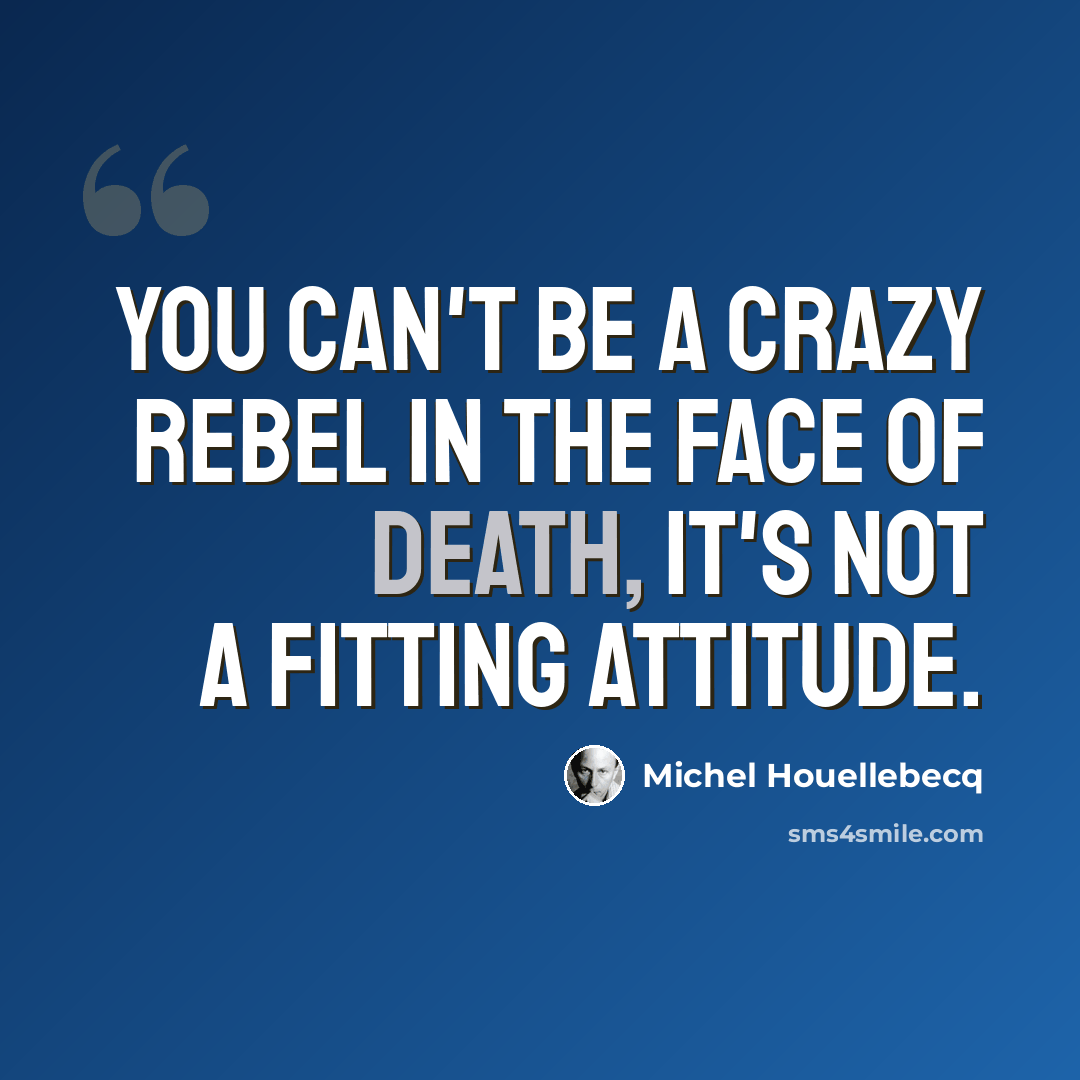 “You can't be a crazy rebel in the face of death, it's not a fitting attitude.” quote by Michel Houellebecq