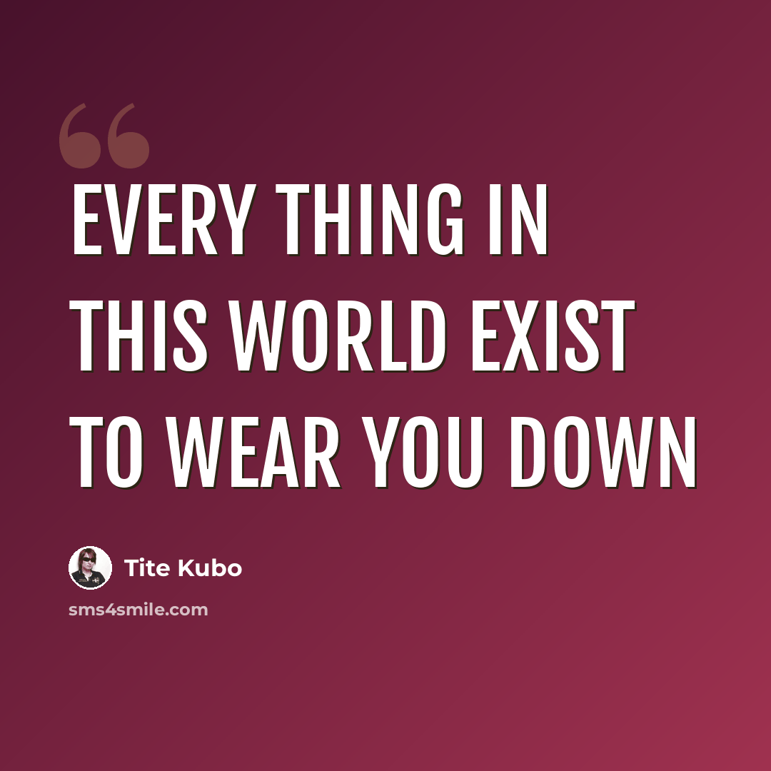 “Every thing in this world exist to wear you down” quote by Tite Kubo