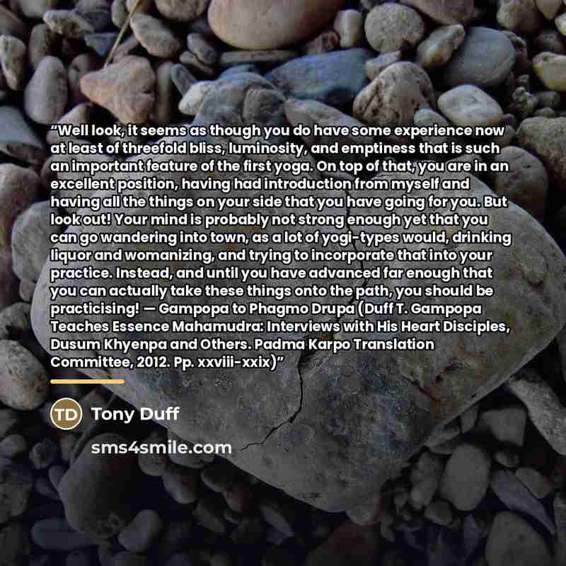 “Well look, it seems as though you do have some experience now at least of threefold bliss, luminosity, and emptiness that is such an important feature of the first yoga. On top of that, you are in an excellent position, having had introduction from myself and having all the things on your side…” quote by Tony Duff