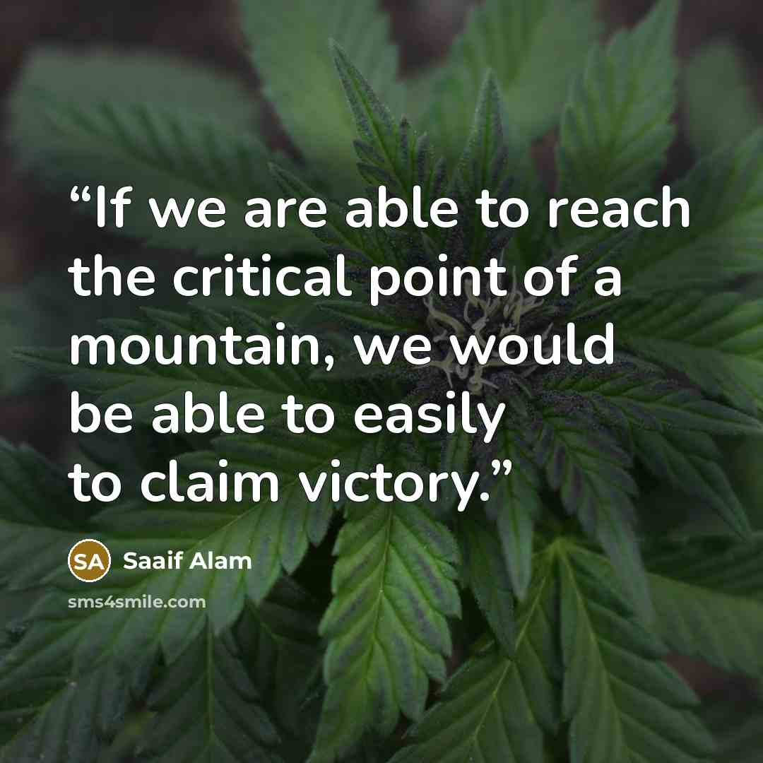 “If we are able to reach the critical point of a mountain, we would be able to easily to claim victory.” quote by Saaif Alam