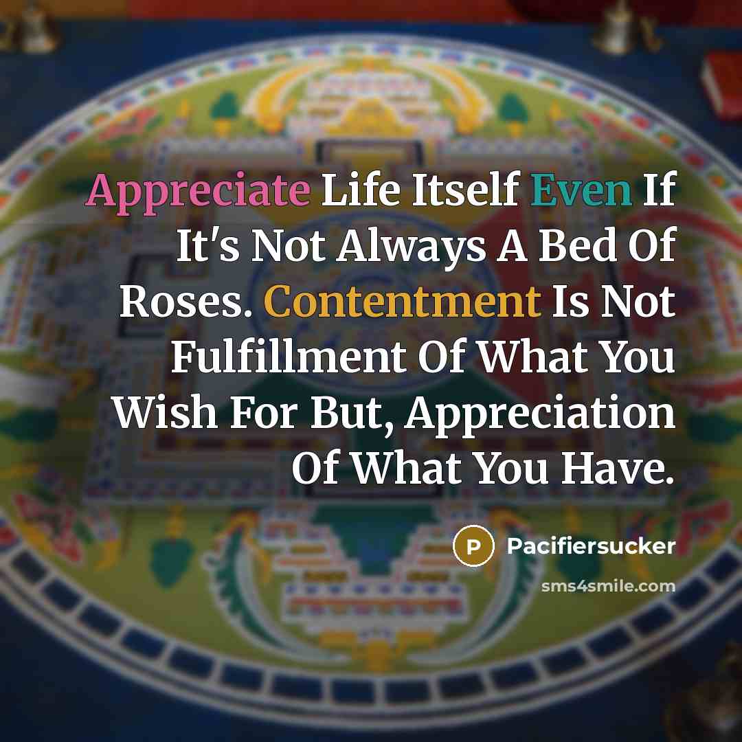 “Appreciate Life Itself Even If It's Not Always A Bed Of Roses. Contentment Is Not Fulfillment Of What You Wish For But, Appreciation Of What You Have.” quote by Pacifiersucker