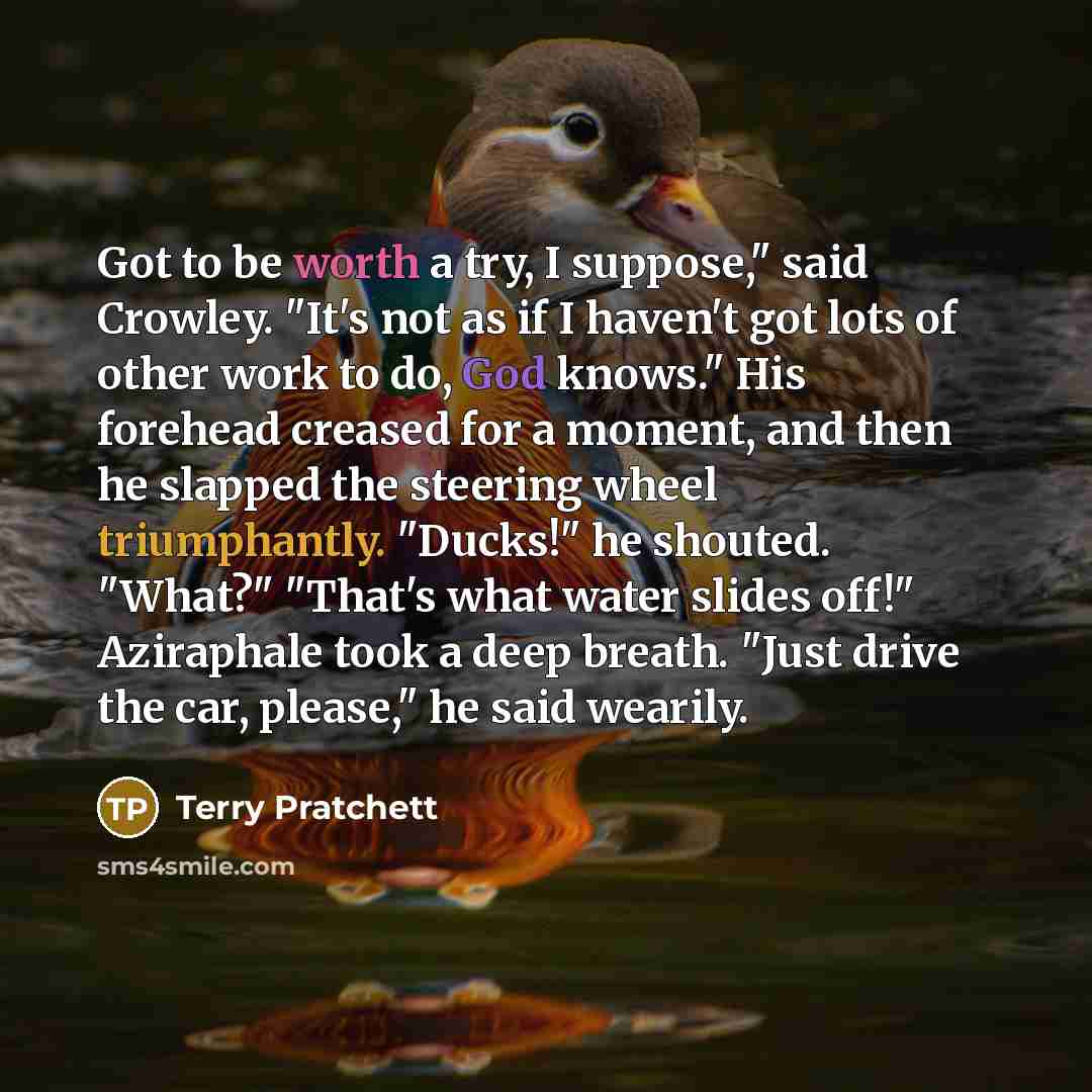 “Got to be worth a try, I suppose," said Crowley. "It's not as if I haven't got lots of other work to do, God knows." His forehead creased for a moment, and then he slapped the steering wheel triumphantly. "Ducks!" he shouted. "What?" "That's what water slides off!" Aziraphale took a deep breath…” quote by Terry Pratchett
