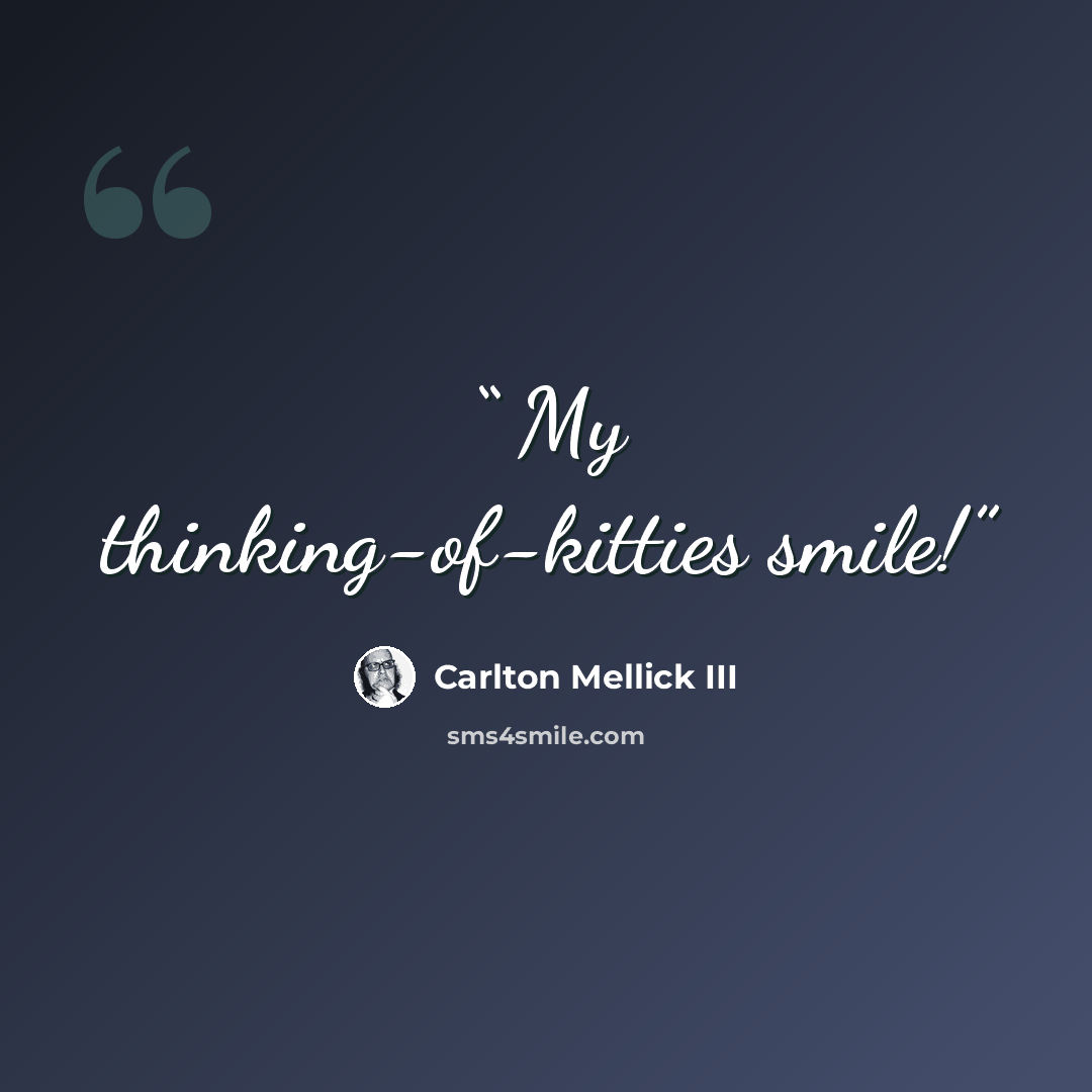 “My thinking-of-kitties smile!” quote by Carlton Mellick III