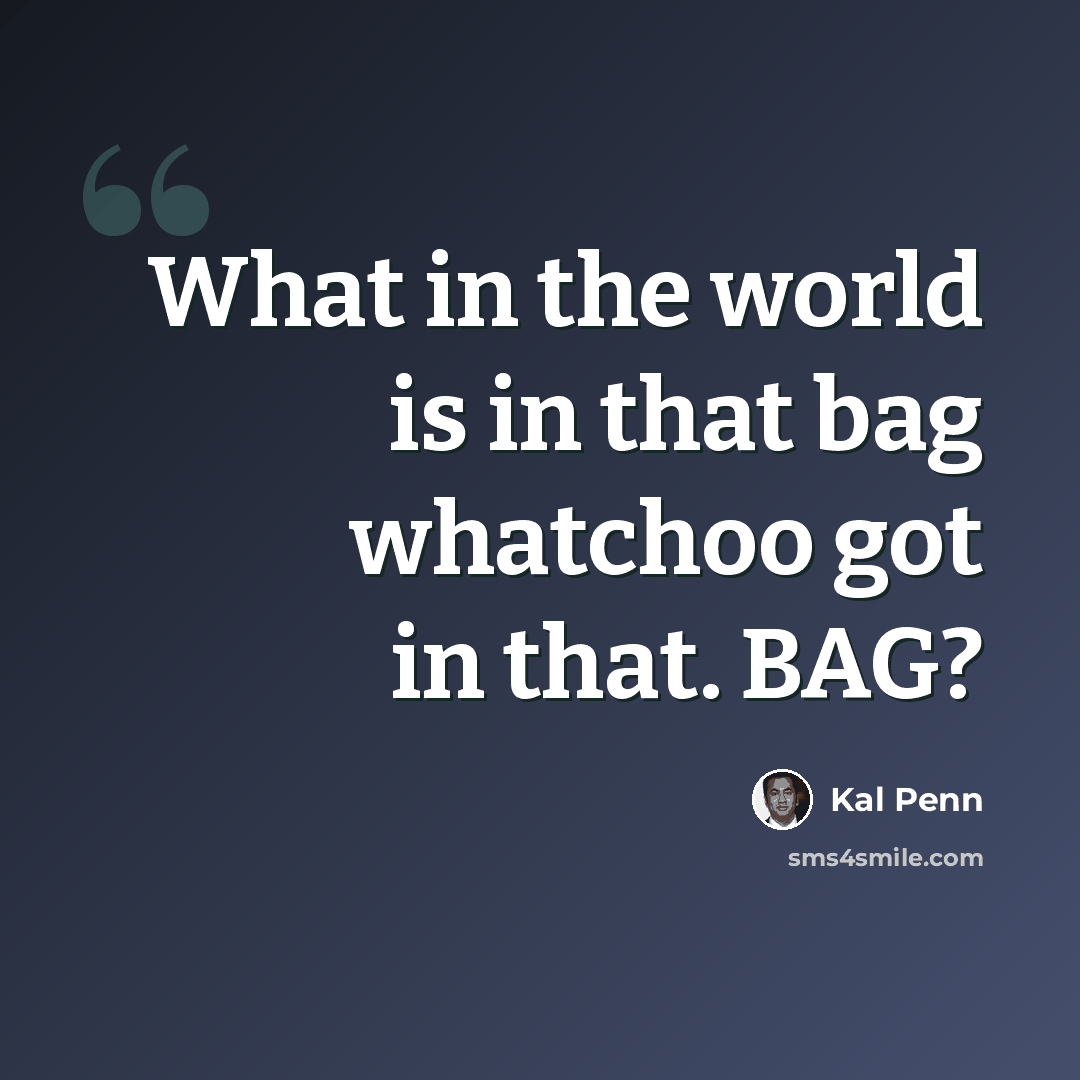 “What in the world is in that bag whatchoo got in that. BAG?” quote by Kal Penn