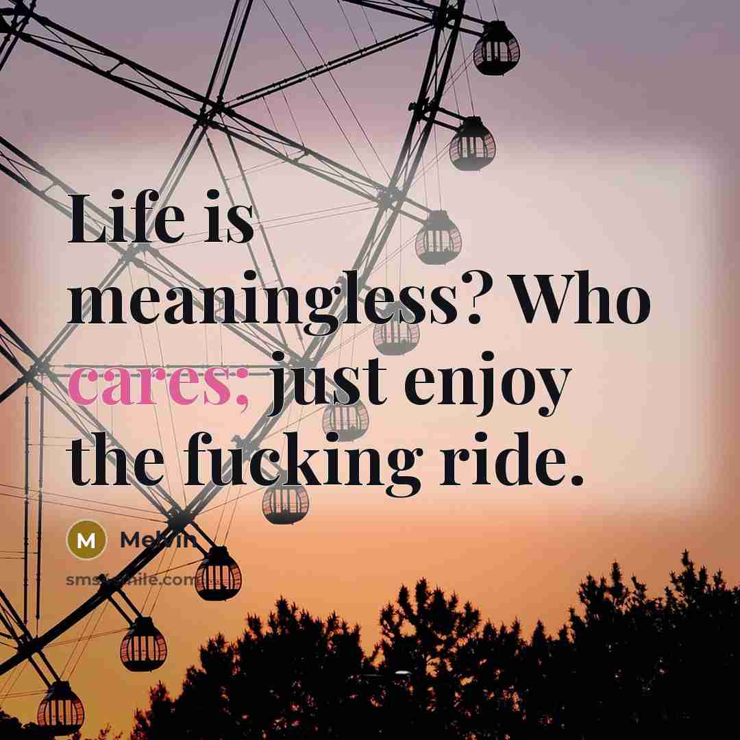 “Life is meaningless? Who cares; just enjoy the fucking ride.” quote by Melvin