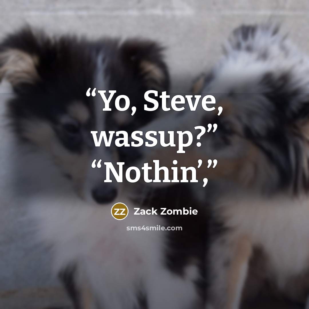 “Yo, Steve, wassup?” “Nothin’,” quote by Zack Zombie