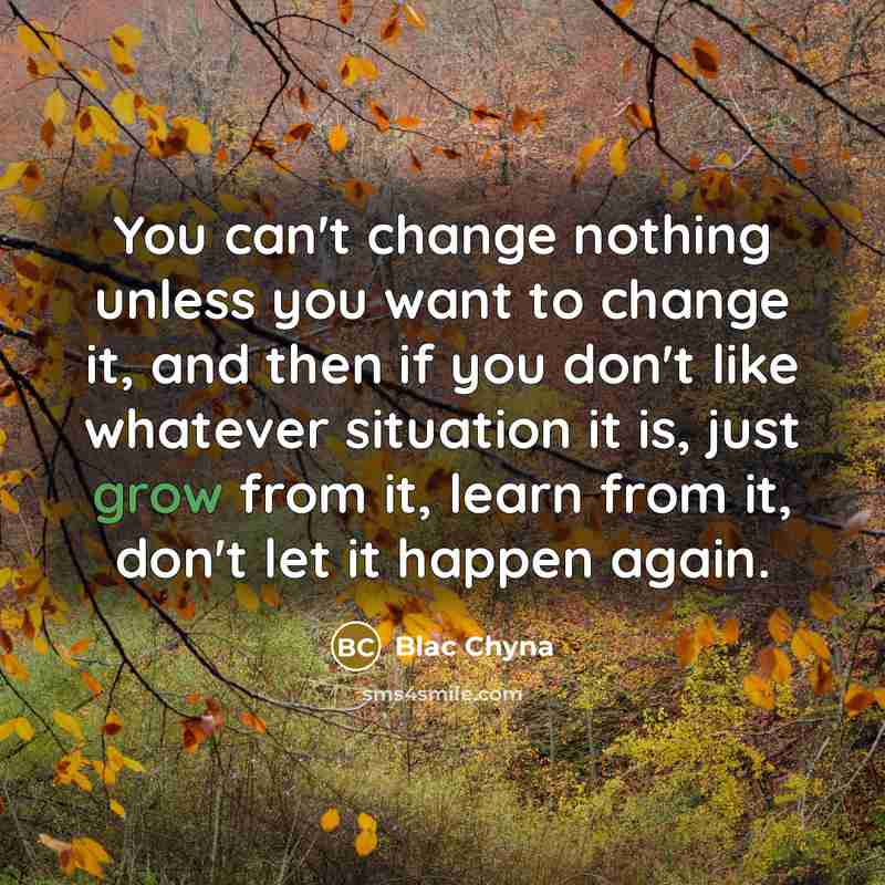 “You can't change nothing unless you want to change it, and then if you don't like whatever situation it is, just grow from it, learn from it, don't let it happen again.” quote by Blac Chyna
