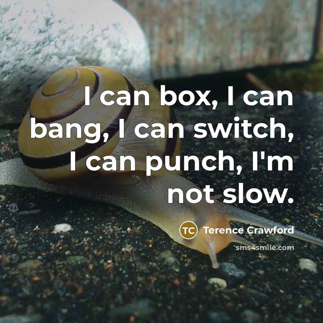 “I can box, I can bang, I can switch, I can punch, I'm not slow.” quote by Terence Crawford
