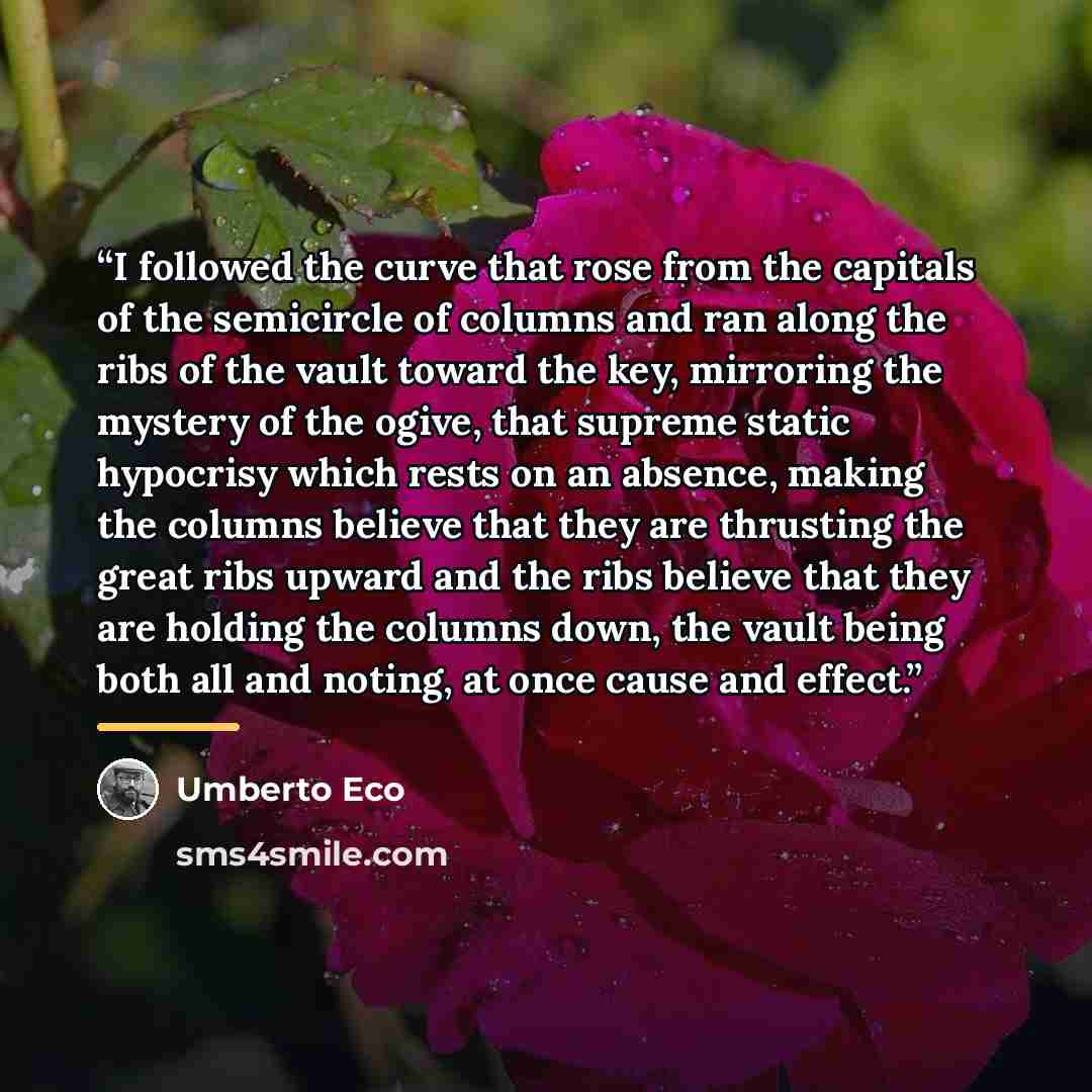 “I followed the curve that rose from the capitals of the semicircle of columns and ran along the ribs of the vault toward the key, mirroring the mystery of the ogive, that supreme static hypocrisy which rests on an absence, making the columns believe that they are thrusting the great ribs upward…” quote by Umberto Eco