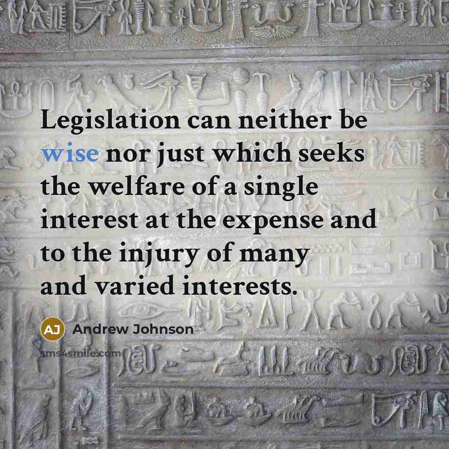 “Legislation can neither be wise nor just which seeks the welfare of a single interest at the expense and to the injury of many and varied interests.” quote by Andrew Johnson