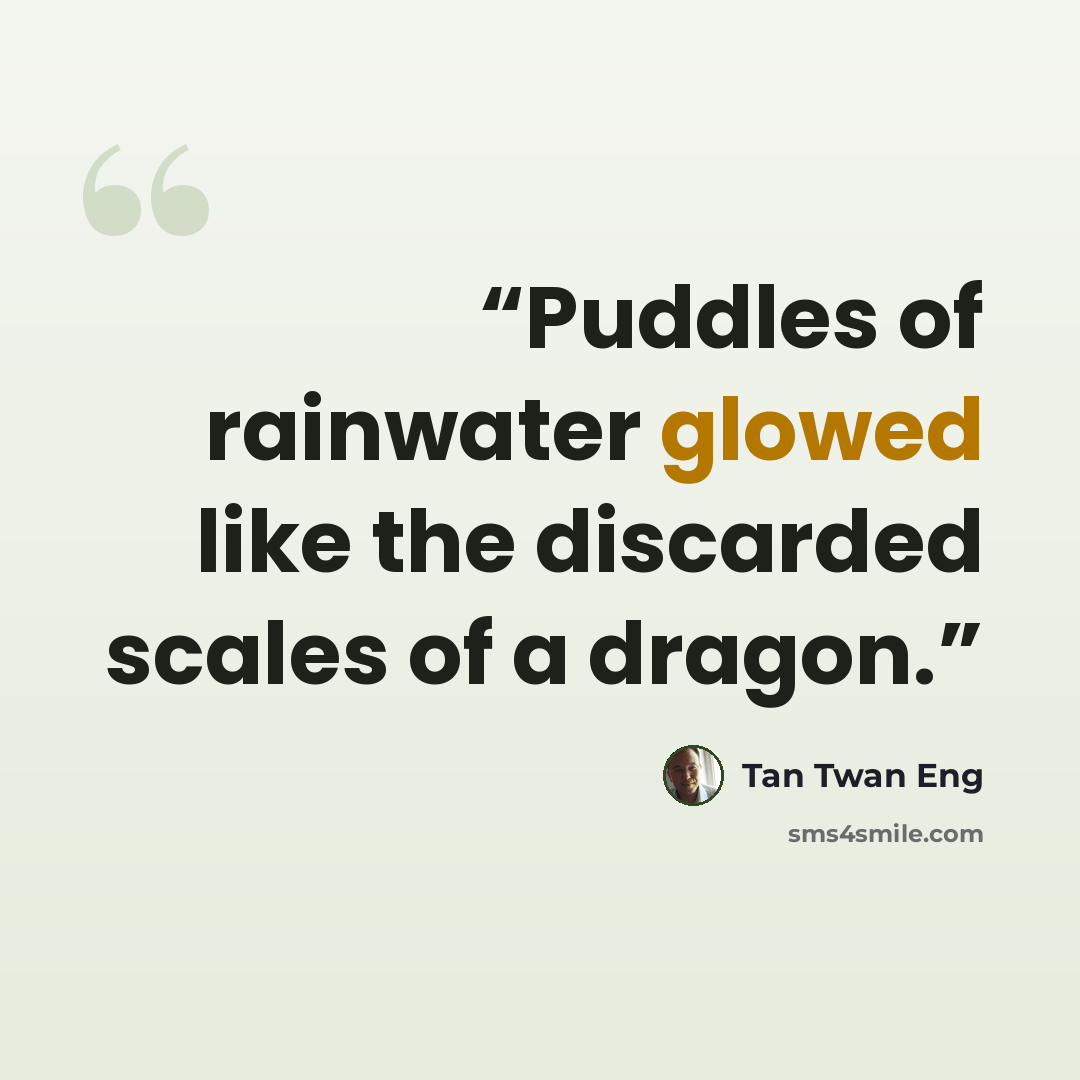 “Puddles of rainwater glowed like the discarded scales of a dragon.” quote by Tan Twan Eng