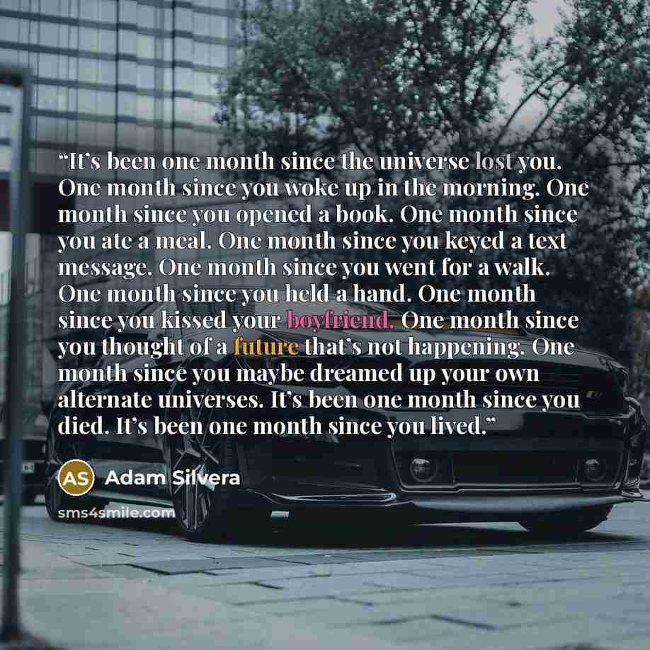 “It’s been one month since the universe lost you. One month since you woke up in the morning. One month since you opened a book. One month since you ate a meal. One month since you keyed a text message. One month since you went for a walk. One month since you held a hand. One month since you kissed…” quote by Adam Silvera