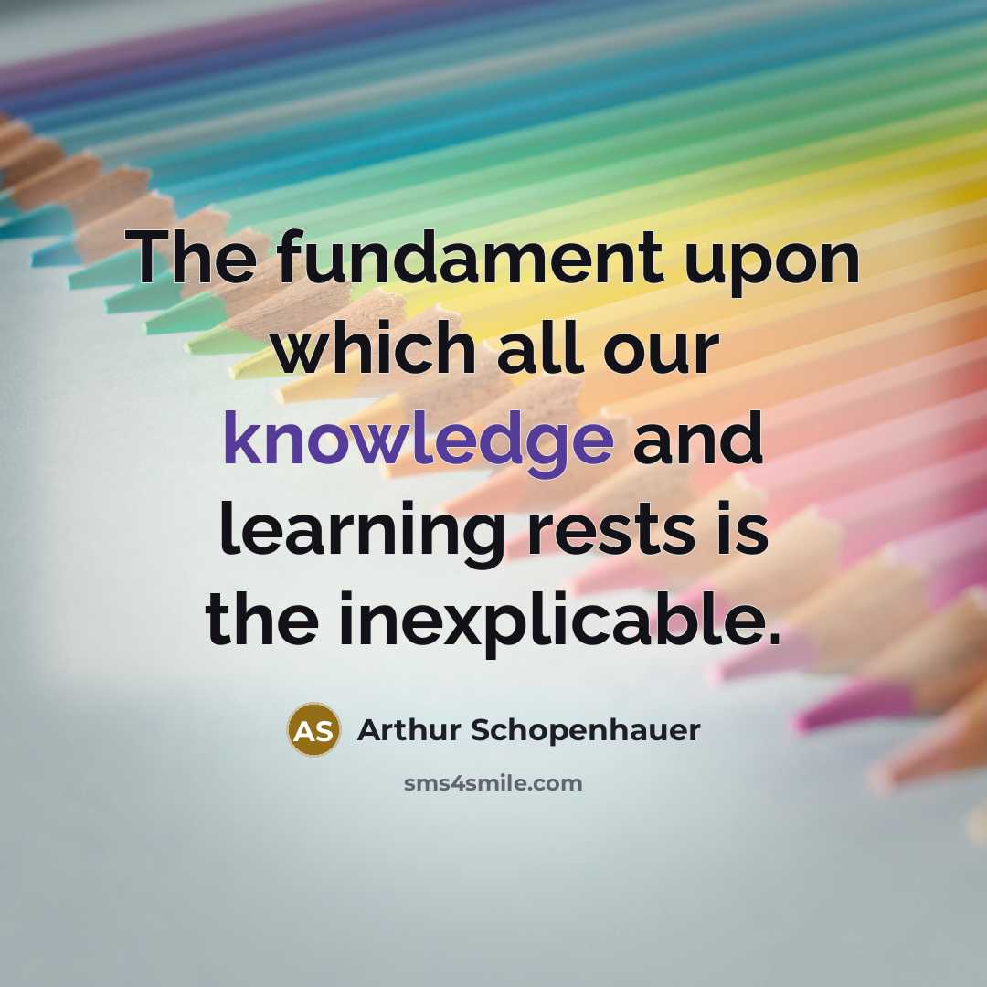 “The fundament upon which all our knowledge and learning rests is the inexplicable.” quote by Arthur Schopenhauer