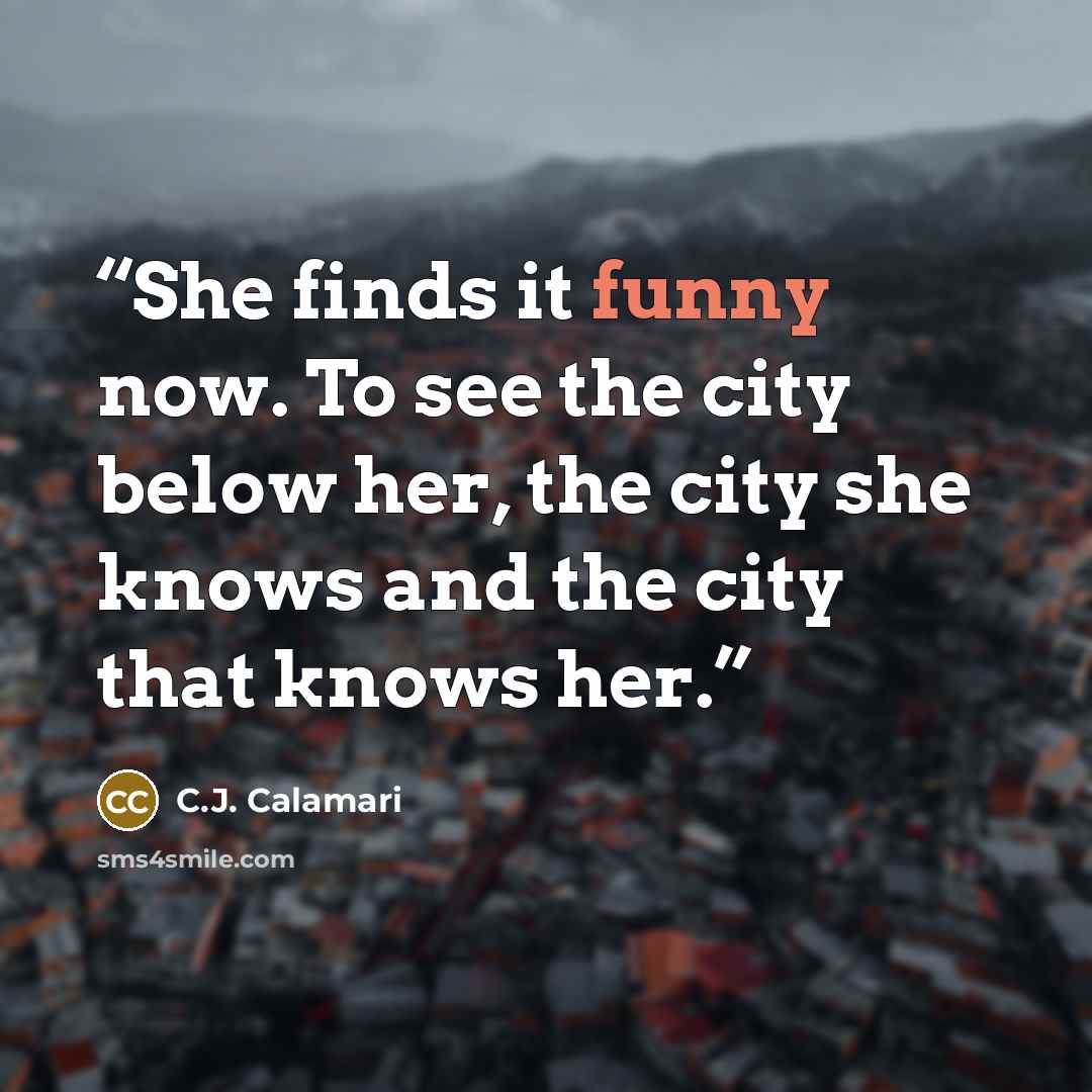 “She finds it funny now. To see the city below her, the city she knows and the city that knows her.” quote by C.J. Calamari