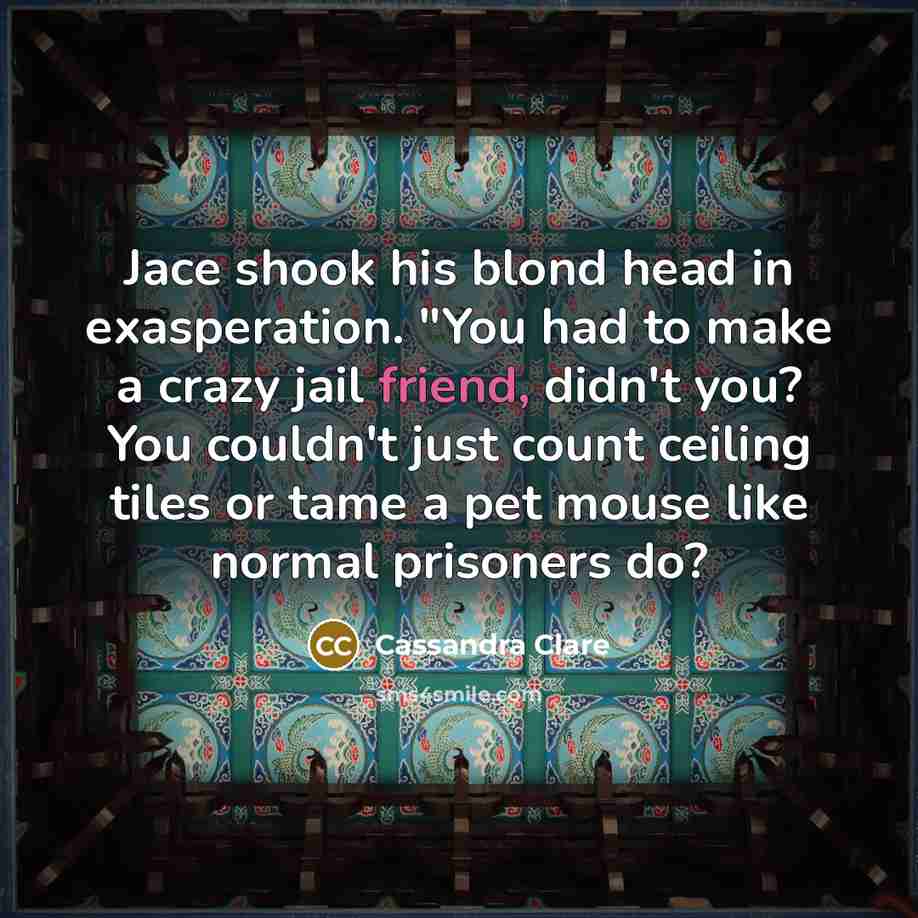 “Jace shook his blond head in exasperation. "You had to make a crazy jail friend, didn't you? You couldn't just count ceiling tiles or tame a pet mouse like normal prisoners do?” quote by Cassandra Clare