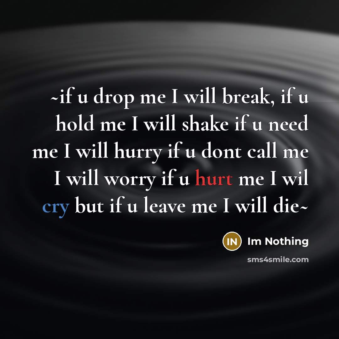 “~if u drop me I will break, if u hold me I will shake if u need me I will hurry if u dont call me I will worry if u hurt me I wil cry but if u leave me I will die~” quote by Im Nothing