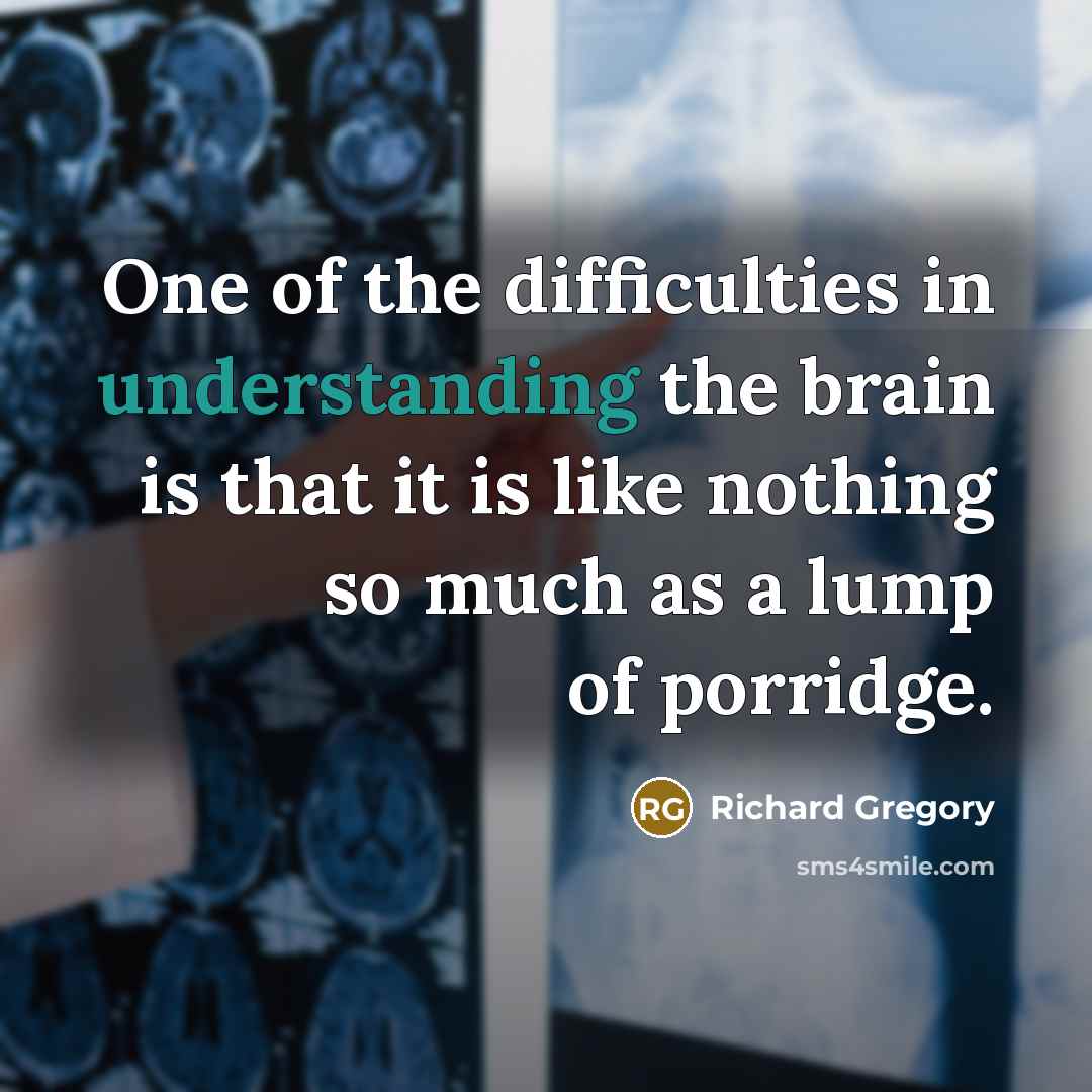 “One of the difficulties in understanding the brain is that it is like nothing so much as a lump of porridge.” quote by Richard Gregory
