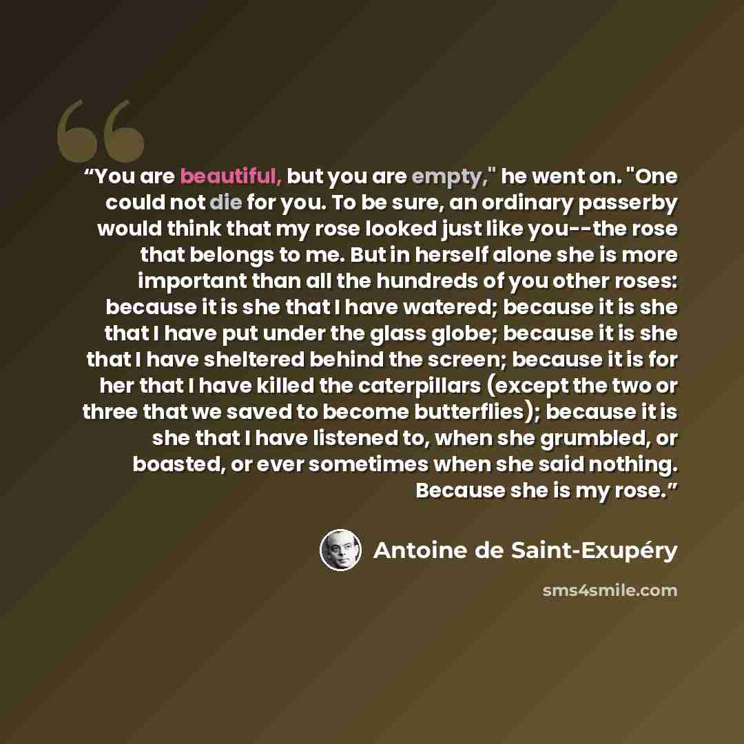 “You are beautiful, but you are empty," he went on. "One could not die for you. To be sure, an ordinary passerby would think that my rose looked just like you--the rose that belongs to me. But in herself alone she is more important than all the hundreds of you other roses: because it is she that I…” quote by Antoine de Saint-Exupéry