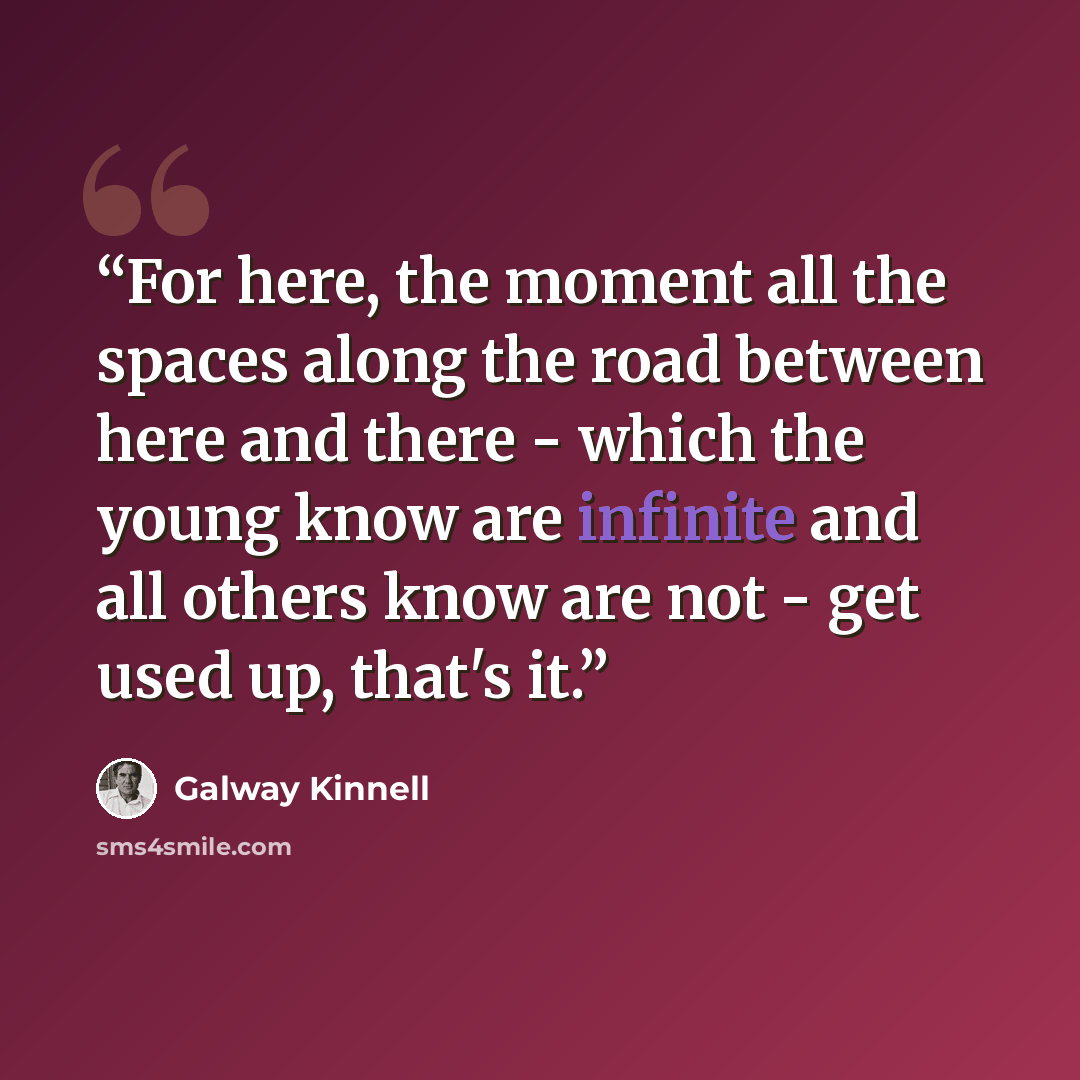 “For here, the moment all the spaces along the road between here and there - which the young know are infinite and all others know are not - get used up, that's it.” quote by Galway Kinnell