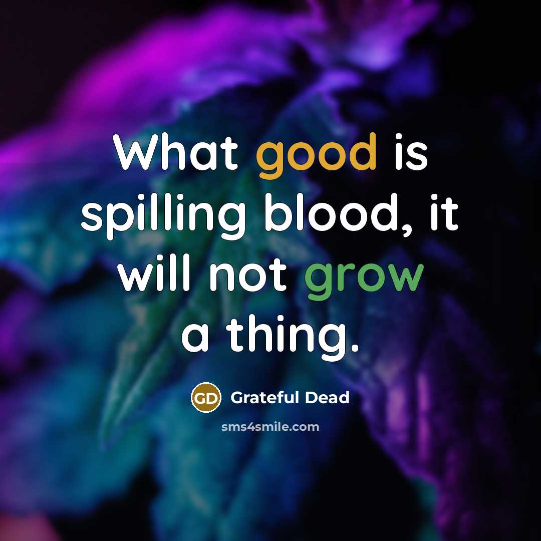 “What good is spilling blood, it will not grow a thing.” quote by Grateful Dead