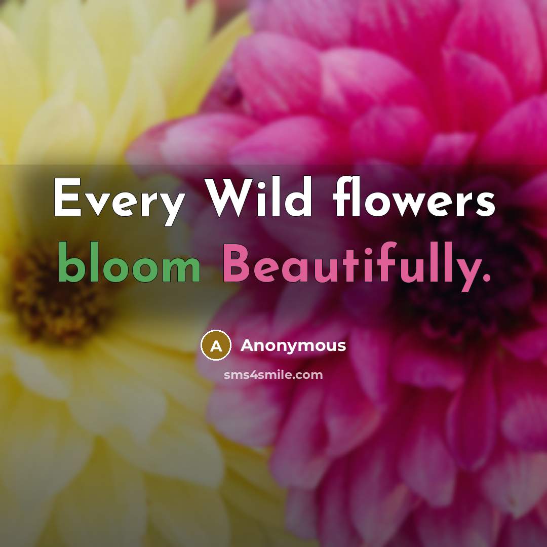 “Every Wild flowers bloom Beautifully.” quote by Anonymous