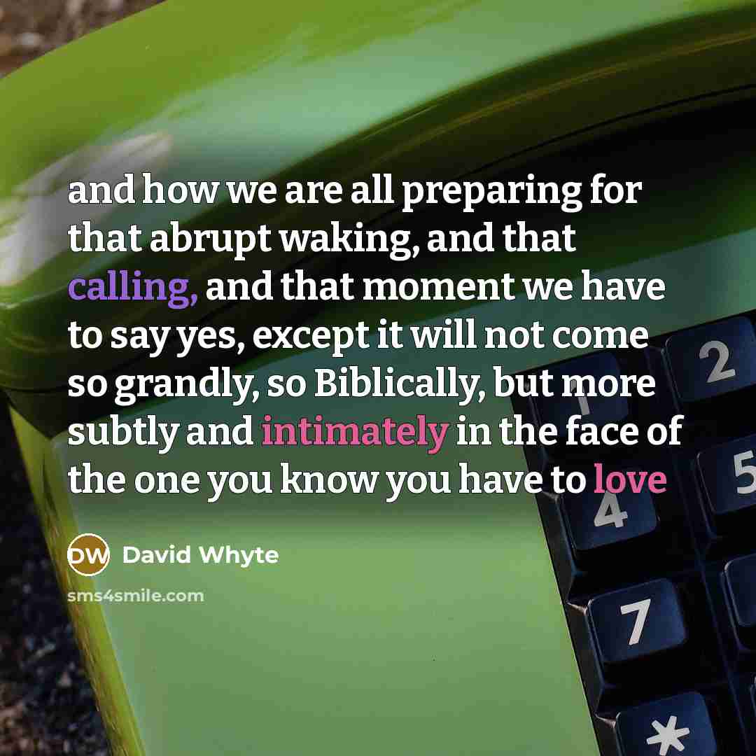 “and how we are all preparing for that abrupt waking, and that calling, and that moment we have to say yes, except it will not come so grandly, so Biblically, but more subtly and intimately in the face of the one you know you have to love” quote by David Whyte
