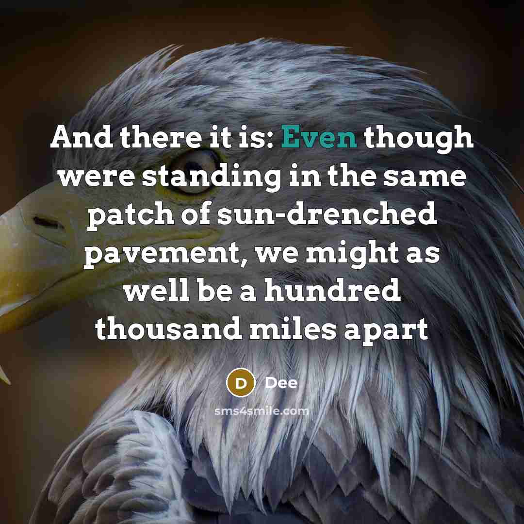 “And there it is: Even though were standing in the same patch of sun-drenched pavement, we might as well be a hundred thousand miles apart” quote by Dee