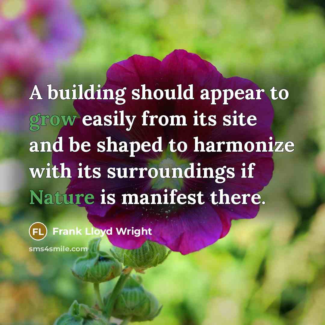 “A building should appear to grow easily from its site and be shaped to harmonize with its surroundings if Nature is manifest there.” quote by Frank Lloyd Wright