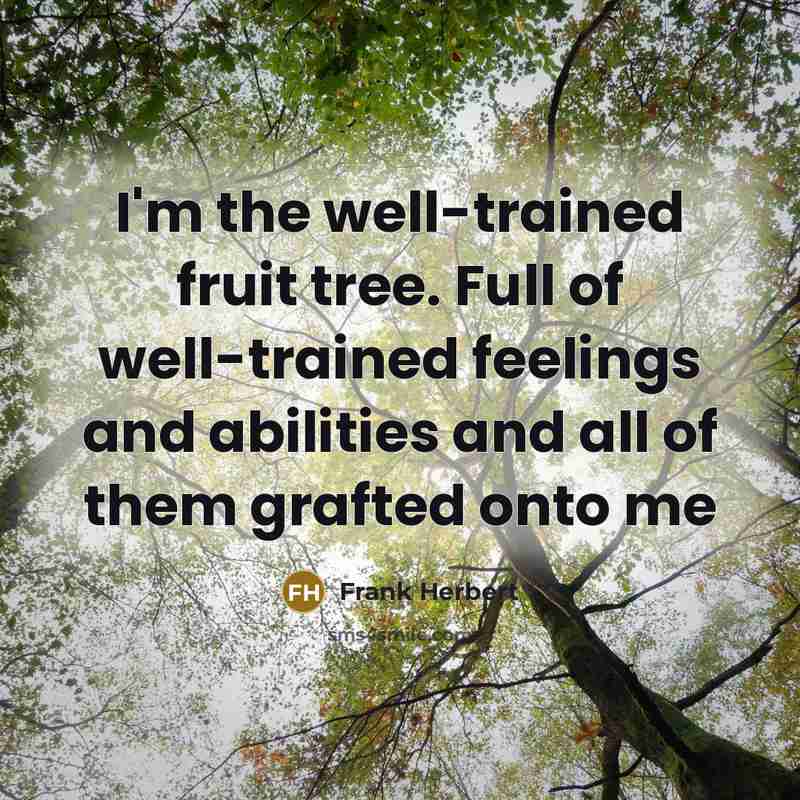 “I'm the well-trained fruit tree. Full of well-trained feelings and abilities and all of them grafted onto me” quote by Frank Herbert
