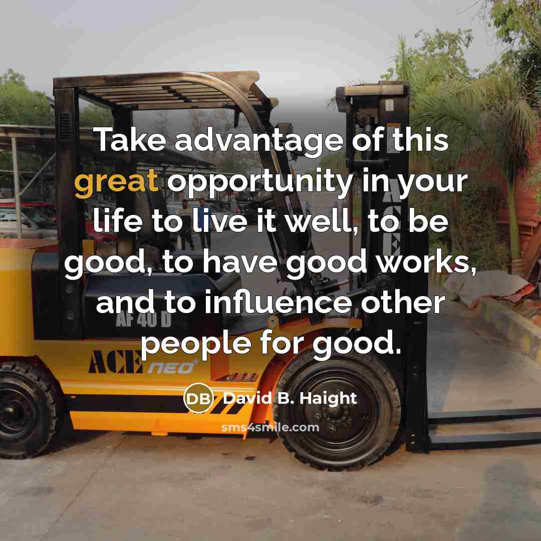 “Take advantage of this great opportunity in your life to live it well, to be good, to have good works, and to influence other people for good.” quote by David B. Haight