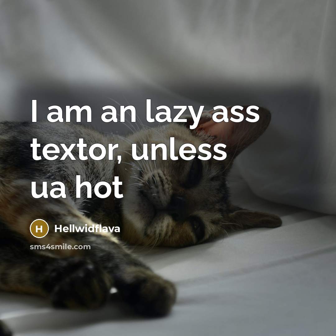 “I am an lazy ass textor, unless ua hot” quote by Hellwidflava