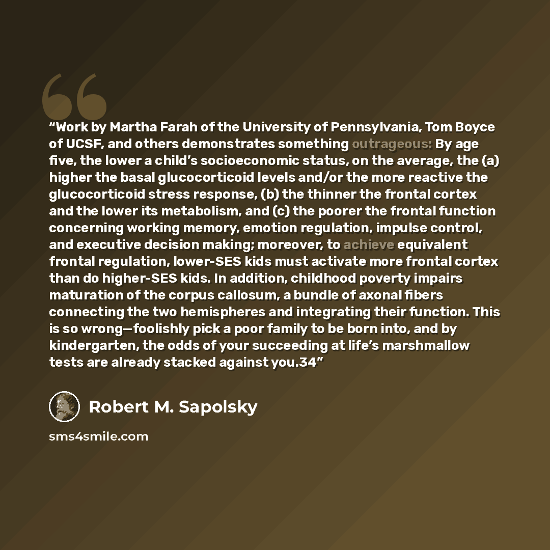 “Work by Martha Farah of the University of Pennsylvania, Tom Boyce of UCSF, and others demonstrates something outrageous: By age five, the lower a child’s socioeconomic status, on the average, the (a) higher the basal glucocorticoid levels and/or the more reactive the glucocorticoid stress…” quote by Robert M. Sapolsky