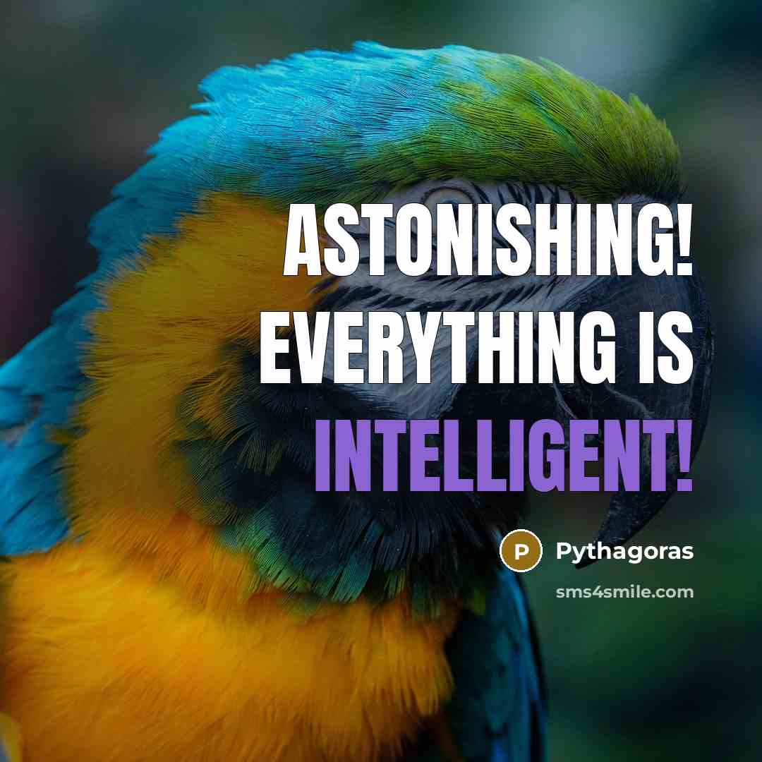 “Astonishing! Everything is intelligent!” quote by Pythagoras