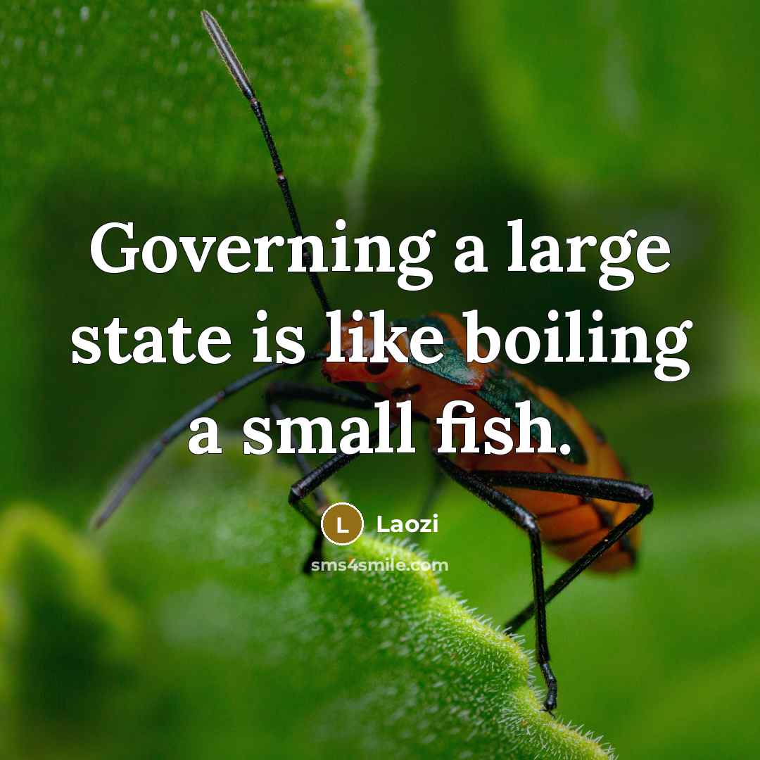 “Governing a large state is like boiling a small fish.” quote by Laozi