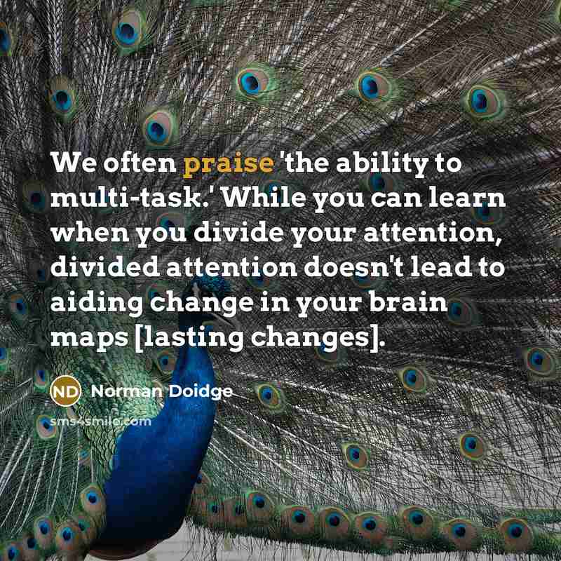 “We often praise 'the ability to multi-task.' While you can learn when you divide your attention, divided attention doesn't lead to aiding change in your brain maps [lasting changes].” quote by Norman Doidge