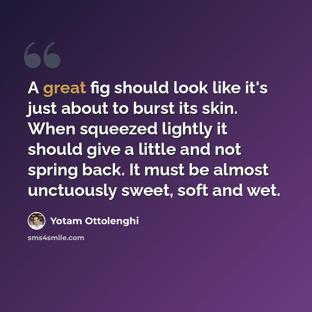 “A great fig should look like it's just about to burst its skin. When squeezed lightly it should give a little and not spring back. It must be almost unctuously sweet, soft and wet.” quote by Yotam Ottolenghi