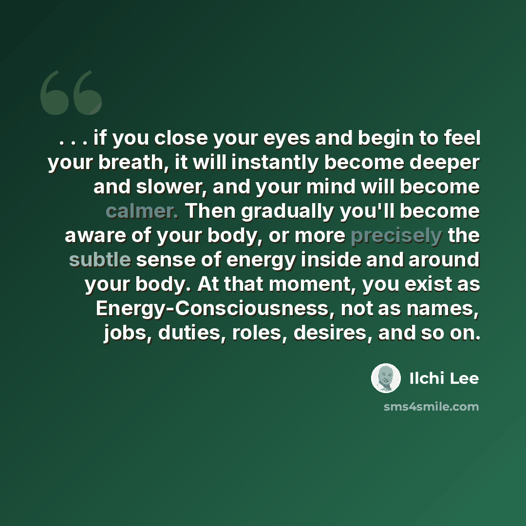 “. . . if you close your eyes and begin to feel your breath, it will instantly become deeper and slower, and your mind will become calmer. Then gradually you'll become aware of your body, or more precisely the subtle sense of energy inside and around your body. At that moment, you exist as…” quote by Ilchi Lee