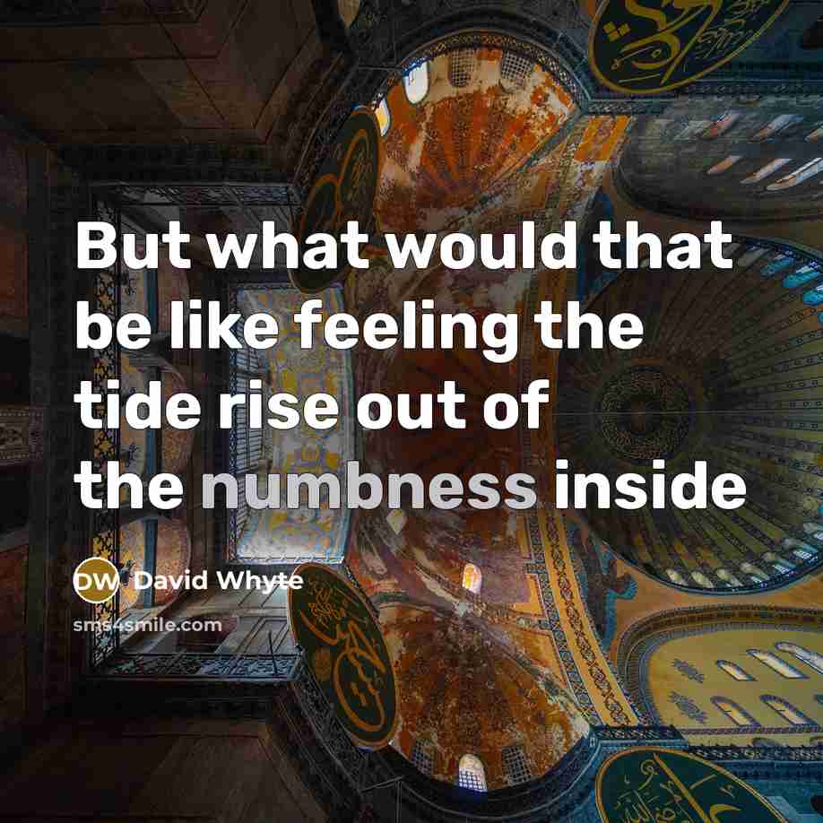 “But what would that be like feeling the tide rise out of the numbness inside” quote by David Whyte