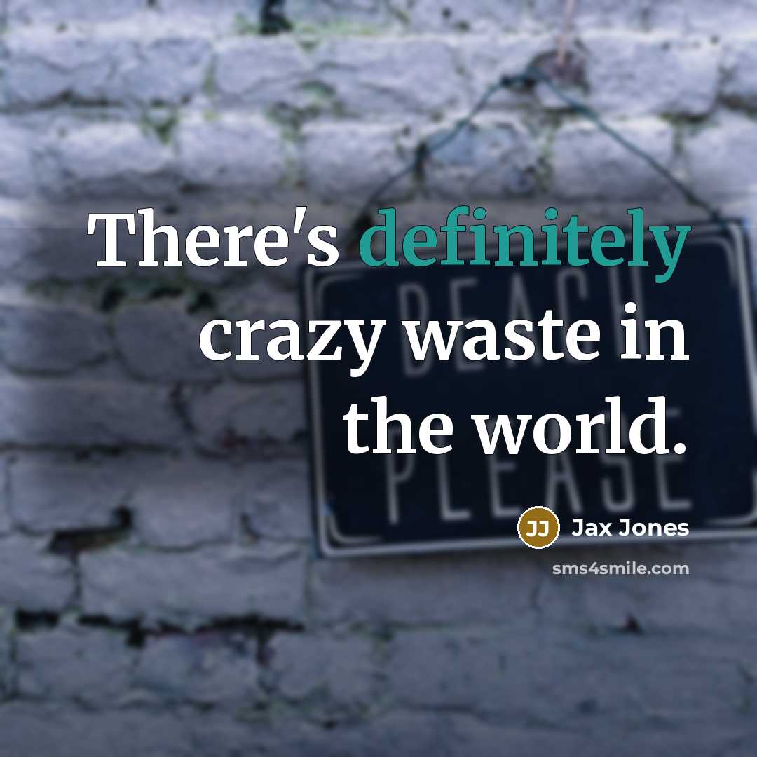 “There's definitely crazy waste in the world.” quote by Jax Jones