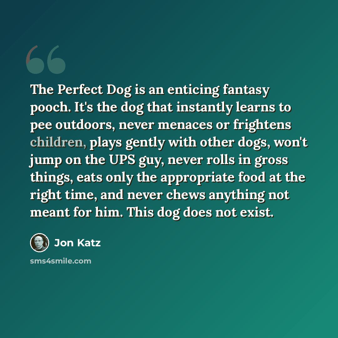 “The Perfect Dog is an enticing fantasy pooch. It's the dog that instantly learns to pee outdoors, never menaces or frightens children, plays gently with other dogs, won't jump on the UPS guy, never rolls in gross things, eats only the appropriate food at the right time, and never chews anything…” quote by Jon Katz