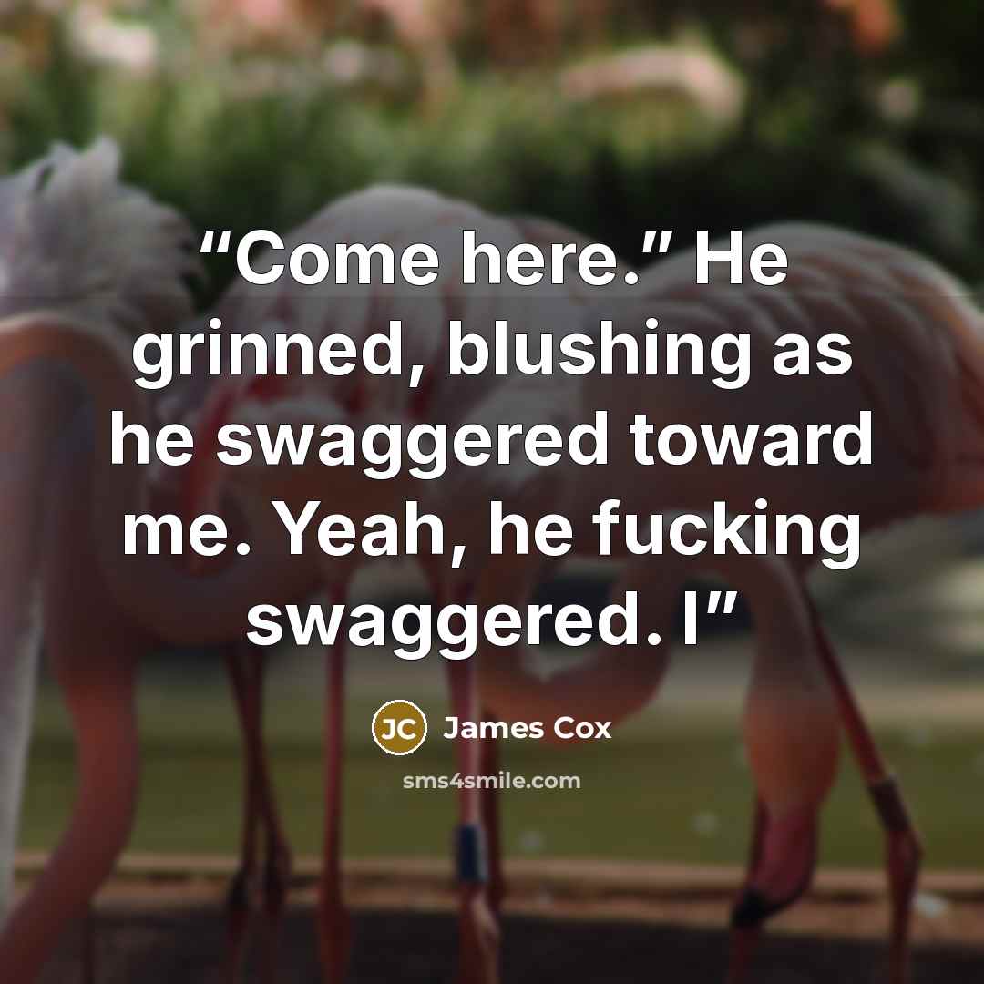 “Come here.” He grinned, blushing as he swaggered toward me. Yeah, he fucking swaggered. I” quote by James Cox