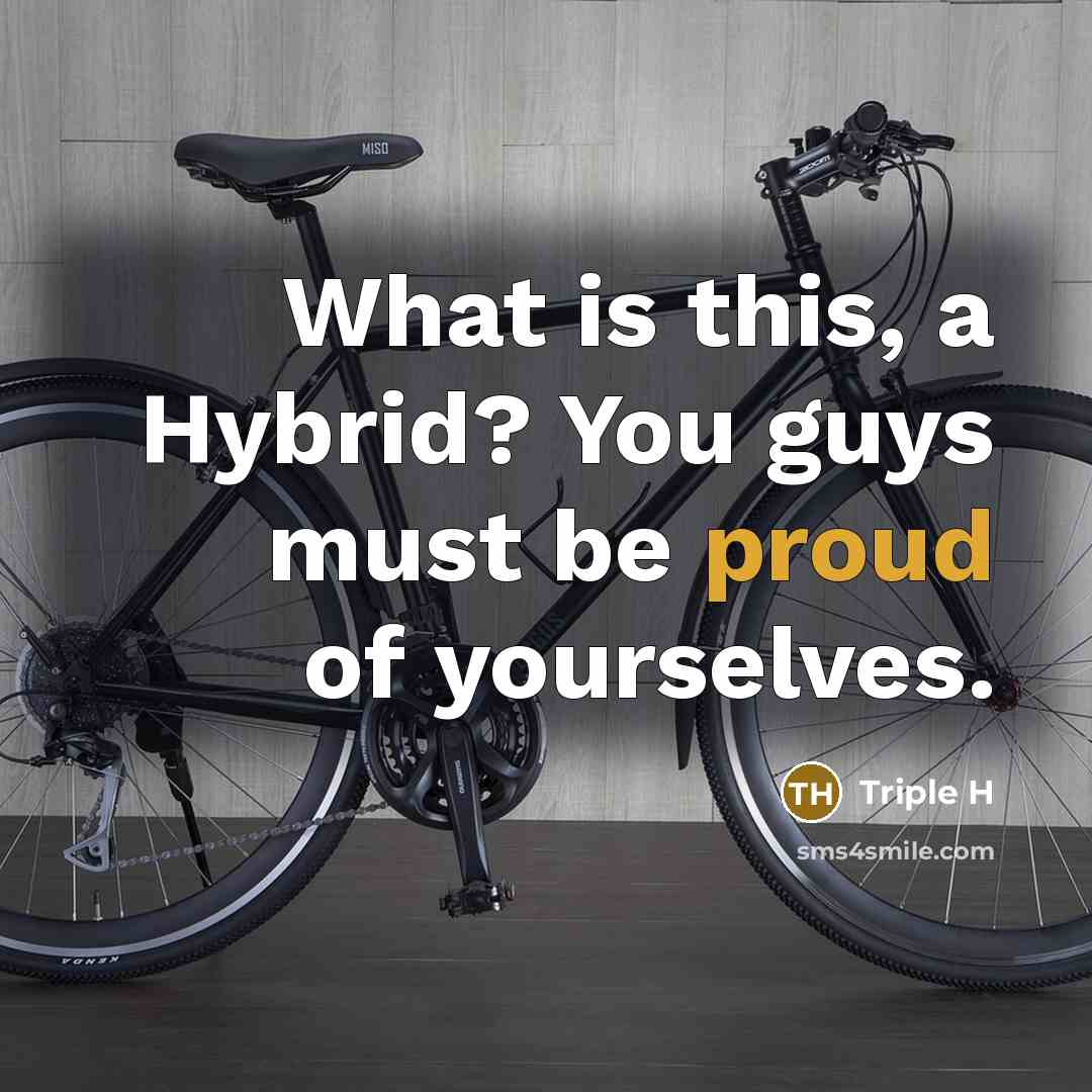 “What is this, a Hybrid? You guys must be proud of yourselves.” quote by Triple H